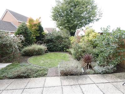 Picture 11
